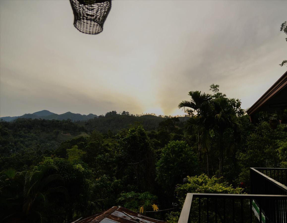 Ella Panorama Villa エクステリア 写真