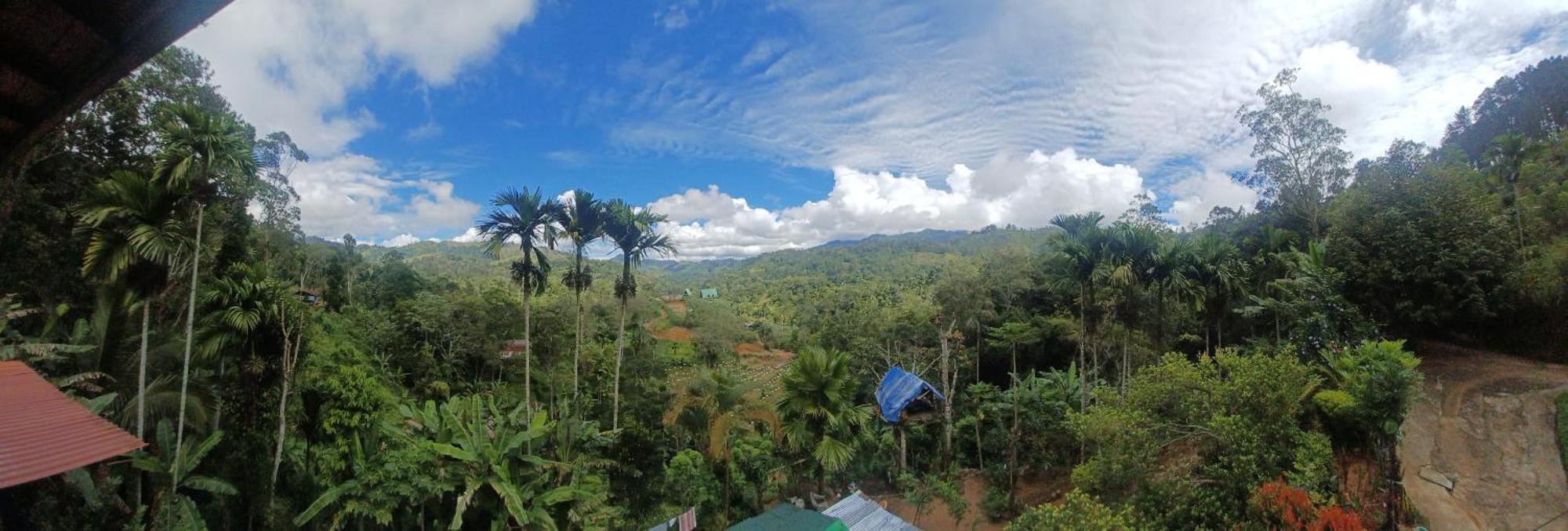 Ella Panorama Villa エクステリア 写真